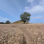 度假居 4 Person In