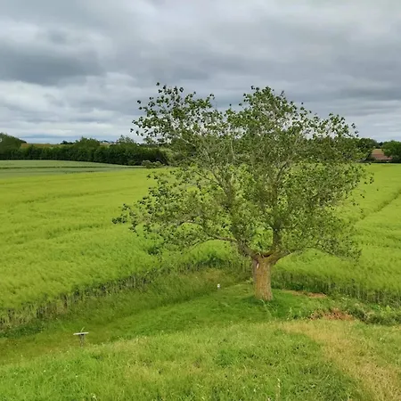 4 Person In Martofte
