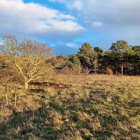 4 Person In Martofte