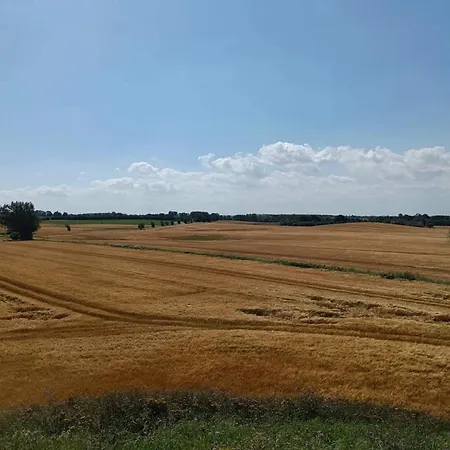 Semesterbostad 4 Person In Martofte