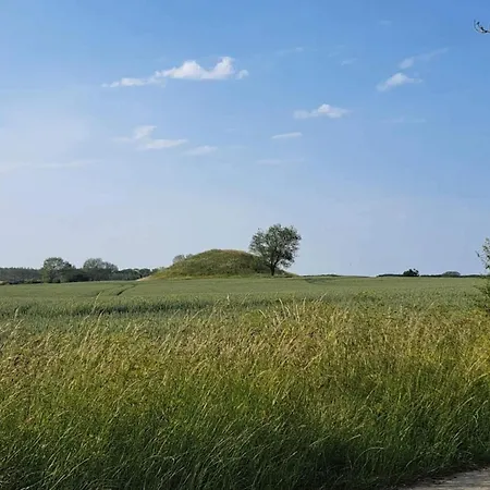 4 Person In Martofte